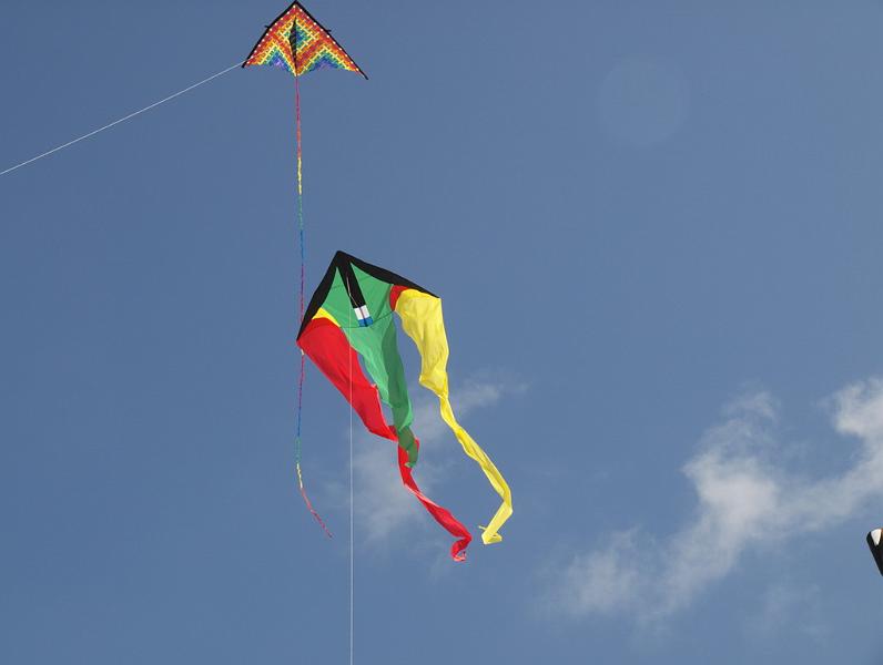 Fanø 2009 61.jpg